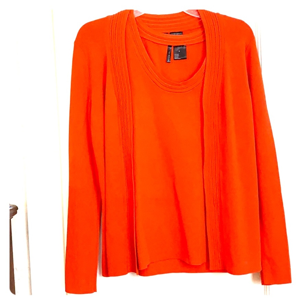 Business camisole with sweater top